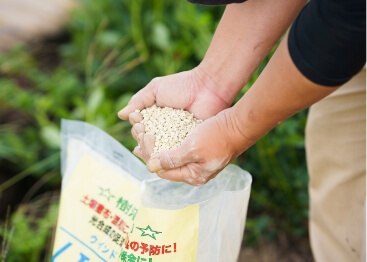 ウインドスター　イメージ画像